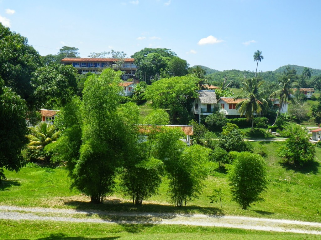 The terraced hillsides of Las Terrazas, west of Havana, began as a reforestation effort but  now are an artist colony.